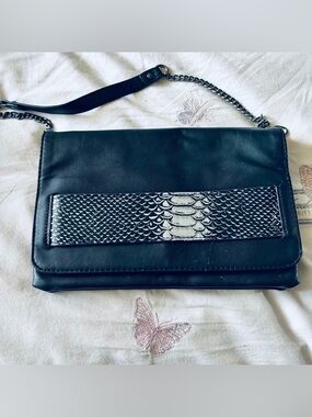 Black Shoulder Bag with Metallic Snake-Scale Accent